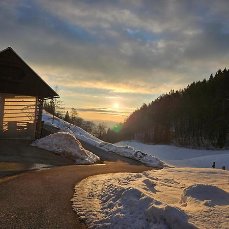 Tourist Farm Pr'Dovar Церклє-на-Горенськем Екстер'єр фото