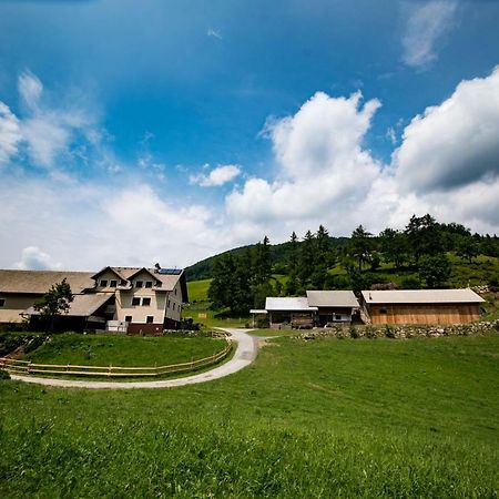 Tourist Farm Pr'Dovar Церклє-на-Горенськем Екстер'єр фото