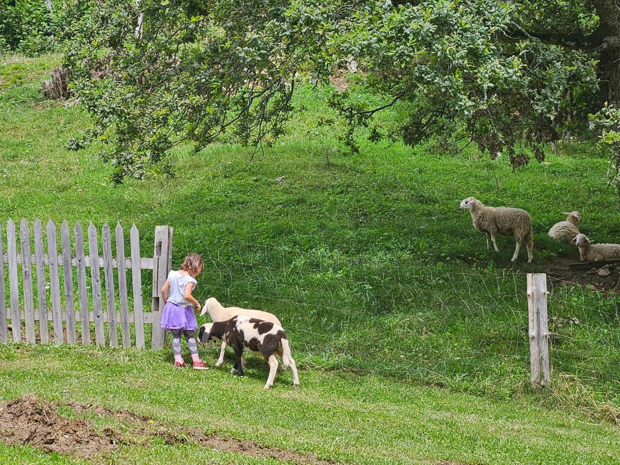 Tourist Farm Pr'Dovar Церклє-на-Горенськем Екстер'єр фото