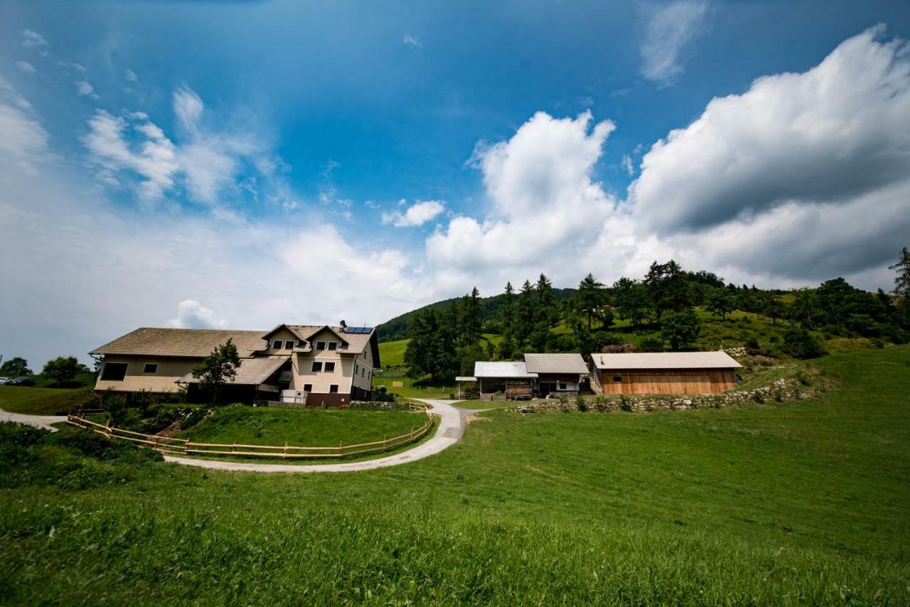 Tourist Farm Pr'Dovar Церклє-на-Горенськем Екстер'єр фото
